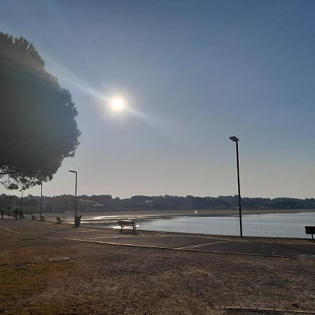 Le 322 Entre Lac Et Ocean Vieux-Boucau-les-Bains Eksteriør bilde